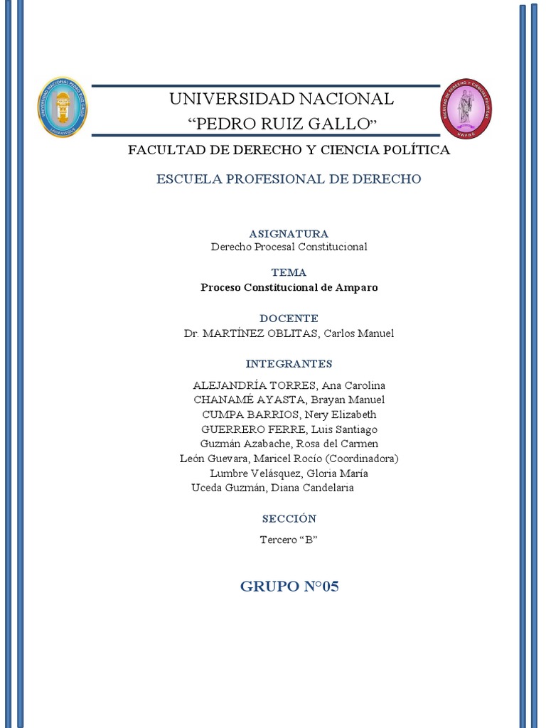 Proceso de Amparo en el Perú | PDF | Habeas corpus | Derecho Constitucional