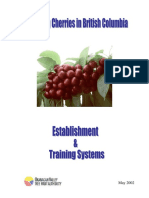 Establishing and Training Cherry Orchards