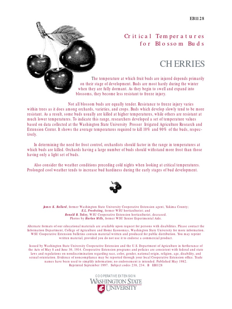 Critical Temperatures for Cherry Buds | PDF | Frost | Cherry