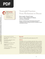 Neutrophil Function - From Mechanisms To Disease