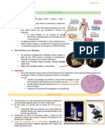 Histolo Resumen