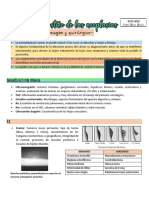 Diagnostico de Las Neoplasias