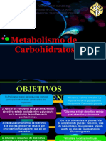 Mtabolismo de Carbohidratos