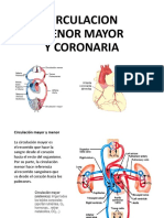 Circulacion