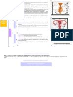 Cuadro Sinoptico de Apartos Reproductores