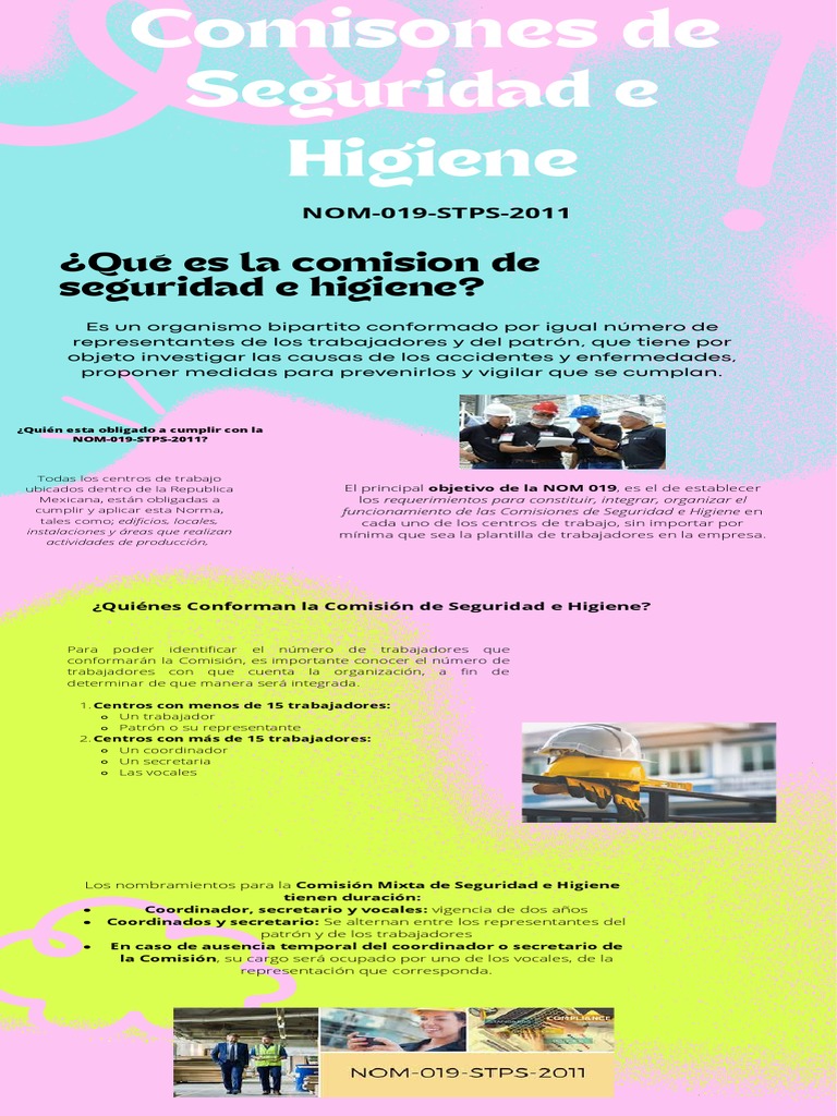 Requisitos y conformación de las Comisiones de Seguridad e Higiene ...