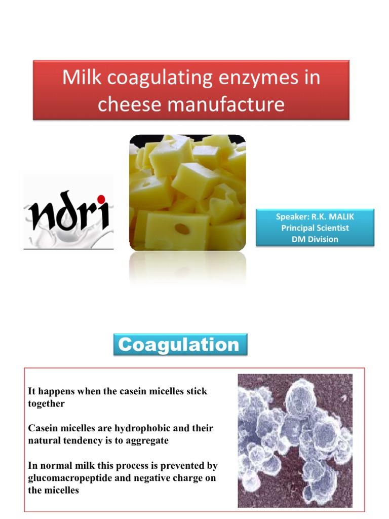 Milk Coagulating Enzymes in Cheese Manufacture Milk Molecular Biology