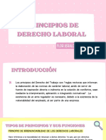 Principios de Derecho Laboral