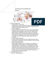 Anatomi Sistem Respiratori dan Kardiovaskular