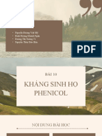 Kháng Sinh Họ Phenicol