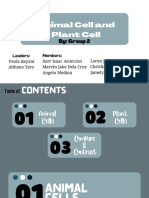 Animal Cells and Plant Cells (Group 2)