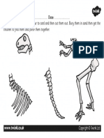 3-Dinosaur Skeleton - New