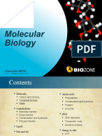 2 IB Molecular Biology