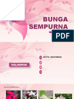 Aditya Bunga Sempurna