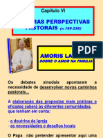 Exortacao Apostolica Amoris Laetitia Capitulo VI Perspectivas Pastorais