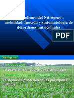 Asimilacion Del Nitrogeno