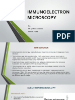 IMMUNOELECTRONMICROS