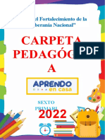 Carpeta Pedagogica 2022