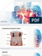 Uronefrologia Anafilaxia v2
