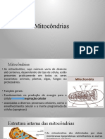 Mitocondrias