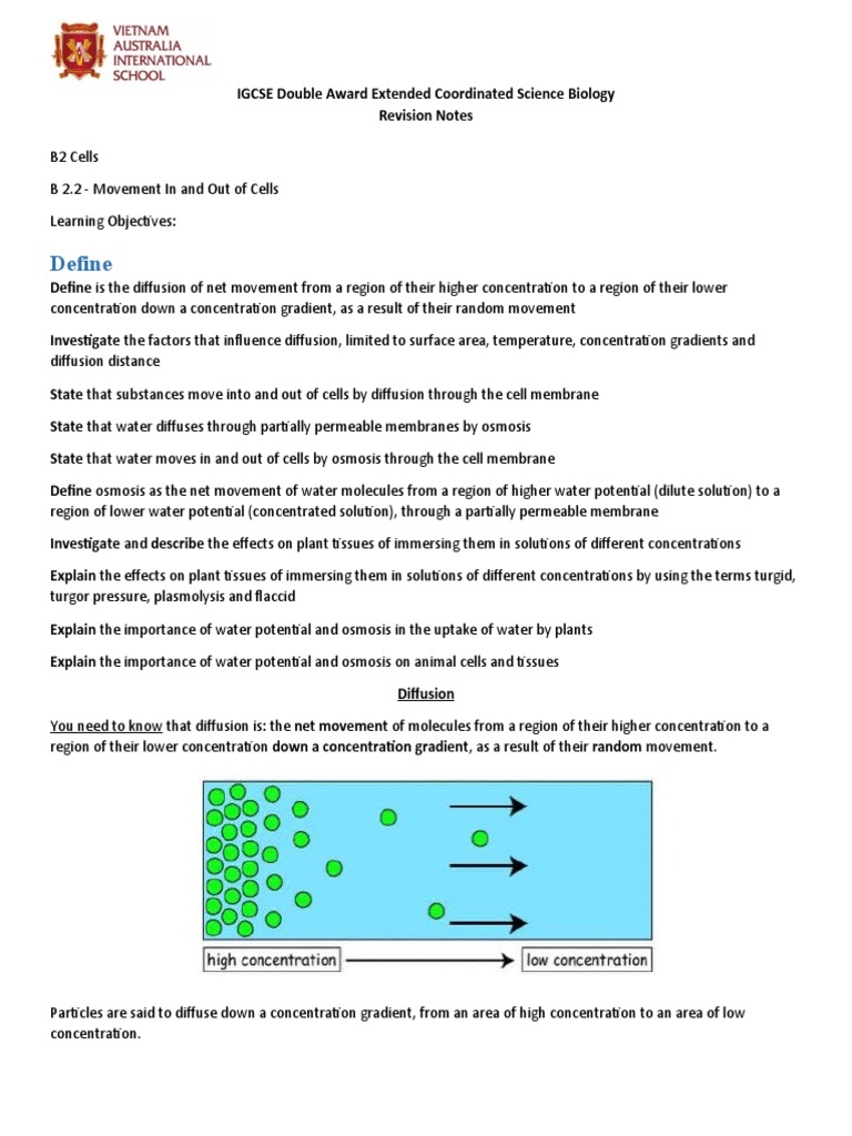 REVISION NOTES - B2.2MovementInAndOutOfTheCell | PDF | Osmosis | Diffusion