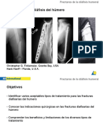 ANATOMÍA DE LA CINTURA PÉLVICA Fisioterapia Osteopatía Barcelona - CENTRO  MÉDICO TERAPÉUTICO