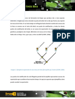 Especificacion Simpatrica (V-Asec)