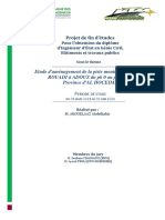 Rapport Final PFE Pekbir