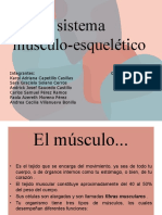 Sistema Musculo-Esquelético