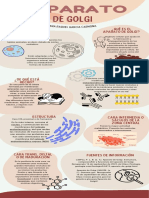 Infografia Evolucion Humana Ilustrado Colores Neutrales