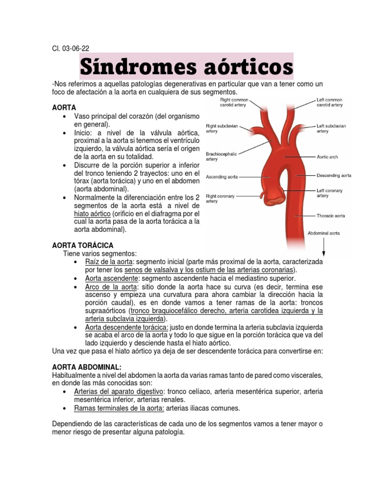 Síndromes Aórticos: Aneurismas y Clasificación | PDF | Aorta | Músculo ...
