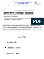 Sindromes Clinicos Renales