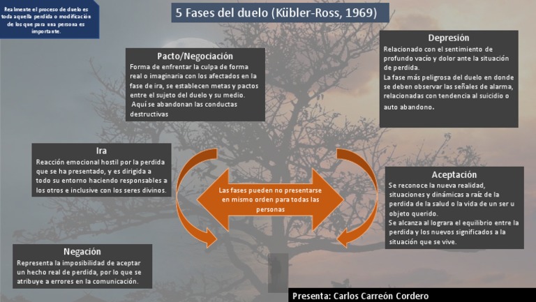 Mapa Conceptual Fases Del Duelo | PDF | Dolor | Las emociones