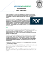 Anatomofisiologia Aparato Digestivo Simon Torres