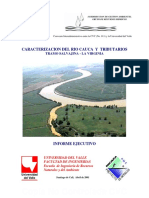 Informe Ejecutivo Proyecto Modelacion Del Rio Cauca Cvc-Univalle 0