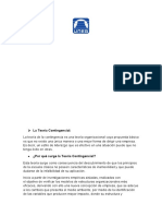 ING. Informatica, Teoria Situacional o Contingencia, Grupo Nro. 9