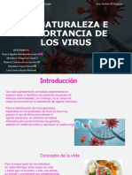 La Naturaleza e Importancia de Los Virus