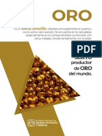 Informe Del Oro