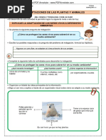 04-11-Cyt-Adaptaciones de Las Plantas y Animales