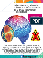 El Cerebro Adolescente - Información General