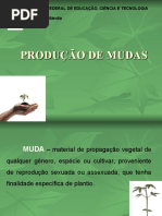 AULA 1 Produção de Mudas