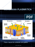 Membrana Plasmática