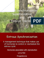 Estrous Synchronization