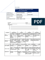 Rúbrica - 13 Informe de Análisis de Caso