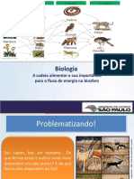 A Cadeia Alimentar e Sua Importância para o Fluxo de Energia Na Biosfera (1) 1