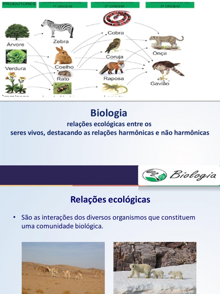 Reconhecer Os Diversos Tipos de Relações Ecológicas Entre Os Seres ...