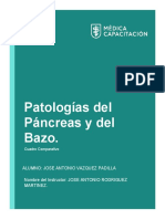 Tarea - Patologías Del Páncreas y Del Bazo