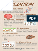 Infografía Proceso de Fabricación de Cerveza Ilustración Beige