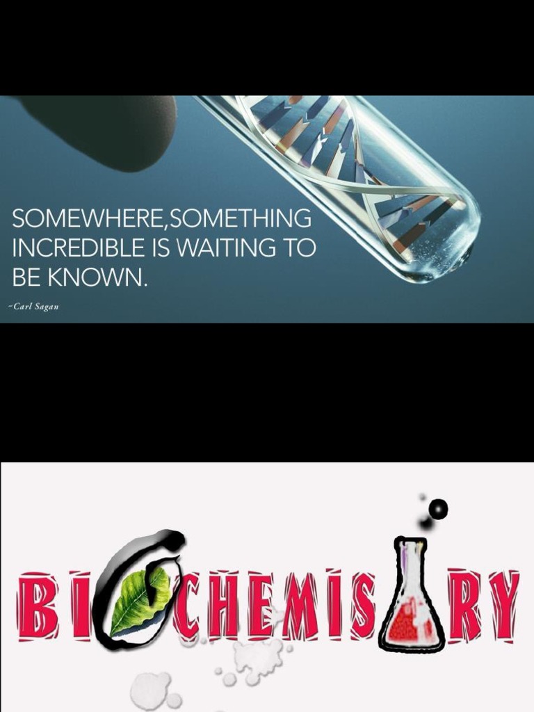 Introduction to Biochemistry PDF