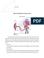 Sistem Peredaran Darah Janin Endah Handayanie